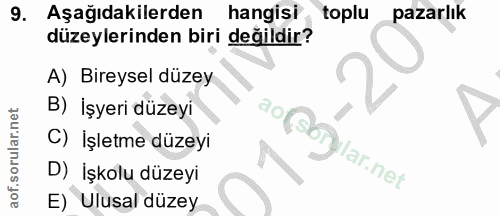 9. soru: Aşağıdakilerden hangisi toplu pazarlık düzeylerinden biri değildir? A) Bireysel düzey B) İşyeri düzeyi C) İşletme düz…