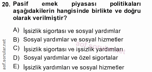 20. soru: Pasif emek piyasası politikaları aşağıdakilerin hangisinde birlikte ve doğru olarak verilmiştir? A) İşsizlik sigortas…
