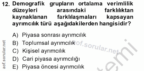 12. soru: Demografik grupların ortalama verimlilik düzeyleri arasındaki farklılıktan kaynaklanan farklılaşmaları kapsayan ayrım…