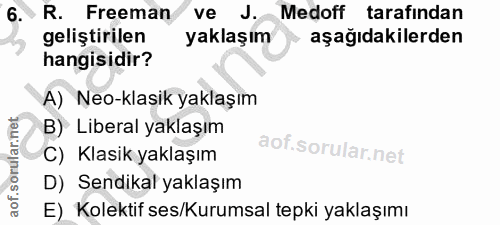 6. soru: R. Freeman ve J. Medoff tarafından geliştirilen yaklaşım aşağıdakilerden hangisidir? A) Neo-klasik yaklaşım B) Libera…