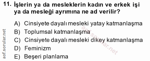 11. soru: İşlerin ya da mesleklerin kadın ve erkek işi ya da mesleği ayrımına ne ad verilir? A) Cinsiyete dayalı mesleki yatay…