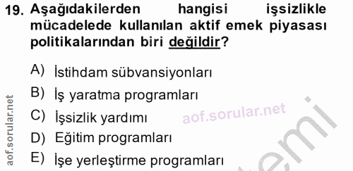 19. soru: Aşağıdakilerden hangisı işsizlikle mücadelede kullanılan aktif emek piyasası politikalarından biri değildir? A) Istih…