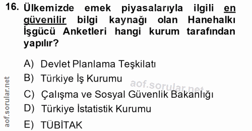 16. soru: Ulkemizde emek piyasalarıyla ilgili en güvenilir bilgi kaynağı olan Hanehalkı Işgücü Anketleri hangi kurum tarafından…