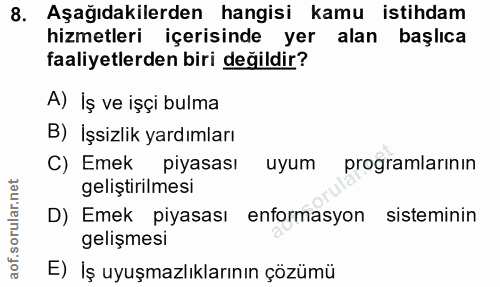 8. soru: Aşağıdakilerden hangisi kamu istihdam hizmetleri içerisinde yer alan başlıca faaliyetlerden biri değildir? A) Iş ve i…