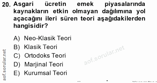 20. soru: Asgari ücretin emek piyasalarında kaynakların etkin olmayan dağılımına yol açacağını ileri süren teori aşağıdakilerde…