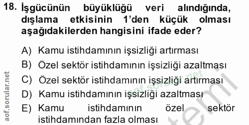 18. soru: İşgücünün büyüklüğü veri alındığında, dışlama etkisinin 'den küçük olması aşağıdakilerden hangisini ifade eder? A) Ka…