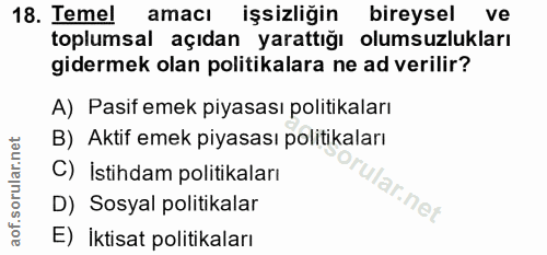 18. soru: Temel amacı işsizliğin bireysel ve toplumsal açıdan yarattığı olumsuzlukları gidermek olan politikalara ne ad verilir…