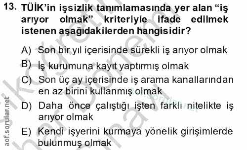 13. soru: TUIK'in işsizlik tanımlamasında yer alan "iş arıyor olmak" kriteriyle ifade edilmek istenen aşağıdakilerden hangisidi…