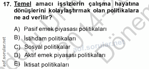 17. soru: Temel amacı işsizlerin çalışma hayatına dönüşlerini kolaylaştırmak olan politikalara ne ad verilir? A) Pasif emek piy…
