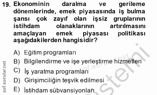 19. soru: Ekonominin daralma ve gerileme dönemlerinde, emek piyasasında iş bulma şansı çok zayıf olan işsiz gruplarının istihda…