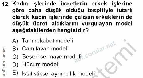 12. soru: Kadın işlerinde ücretlerin erkek işlerine göre daha düşük olduğu tespitiyle tutarlı olarak kadın işlerinde çalışan er…