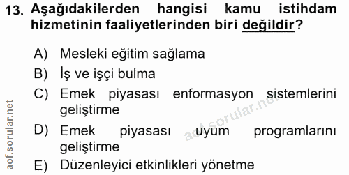13. soru: Aşağıdakilerden hangisi kamu istihdam hizmetinin faaliyetlerinden biri değildir? A) Mesleki eğitim sağlama B) Iș ve i…