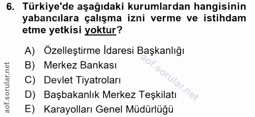 6. soru: Türkiye'de aşağıdaki kurumlardan hangisinin yabancılara çalışma izni verme ve istihdam etme yetkisi yoktur? A) Özelle…