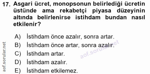 17. soru: Asgari ücret, monopsonun belirlediği ücretin üstünde ama rekabetçi piyasa düzeyinin altında belirlenirse istihdam bun…