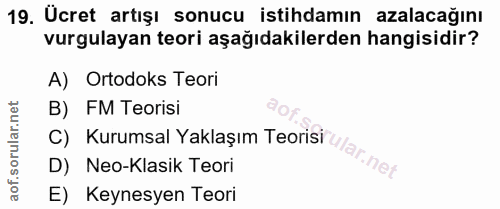 19. soru: Ücret artışı sonucu istihdamın azalacağını vurgulayan teori aşağıdakilerden hangisidir? A) Ortodoks Teori B) FM Teori…