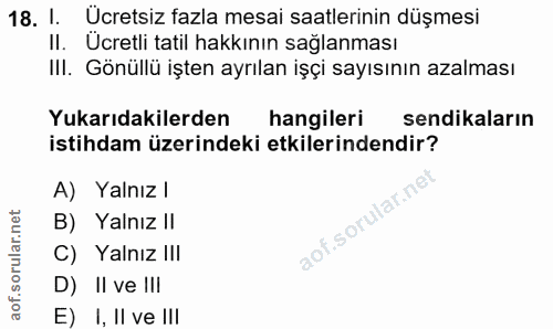 18. soru: I. Ücretsiz fazla mesai saatlerinin düşmesi II. Ücretli tatil hakkının sağlanması II. Gönüllü işten ayrılan işçi sayı…