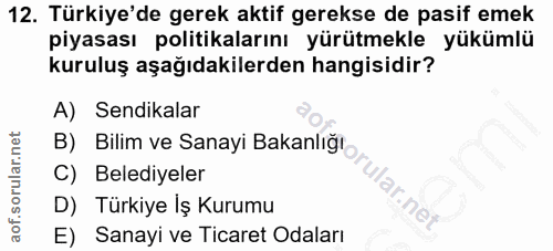 12. soru: Türkiye'de gerek aktif gerekse de pasif emek piyasası politikalarını yürütmekle yükümlü kuruluş aşağıdakilerden hangi…