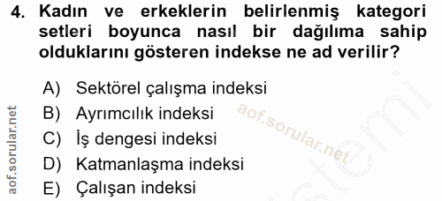 4. soru: Kadın ve erkeklerin belirlenmiş kategori setleri boyunca nasıl bir dağılıma sahip olduklarını gösteren indekse ne ad…