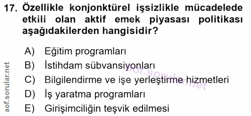 17. soru: Özellikle konjonktürel işsizlikle mücadelede etkili olan aktif emek piyasası politikası aşağıdakilerden hangisidir? A…