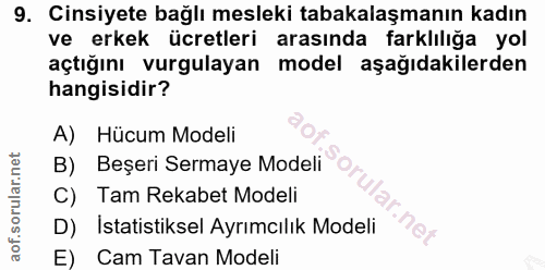 9. soru: Cinsiyete bağlı mesleki tabakalaşmanın kadın ve erkek ücretleri arasında farklılığa yol açtığını vurgulayan model aşa…