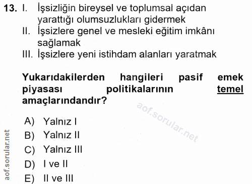 13. soru: I. Işsizliğin bireysel ve toplumsal açıdan yarattığı olumsuzlukları gidermek Il. Işsizlere genel ve mesleki eğitim im…