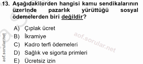 13. soru: Aşağıdakilerden hangisi kamu sendikalarının üzerinde pazarlık yürüttüğü sosyal ödemelerden biri değildir? A) Çıplak ü…