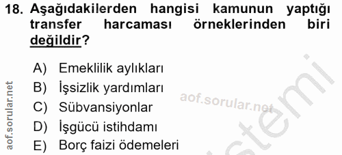 18. soru: Aşağıdakilerden hangisi kamunun yaptığı transfer harcaması örneklerinden biri değildir? A) Emeklilik aylıkları B) Işs…