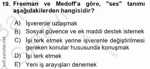 19. soru: Freeman ve Medoff'a göre, "ses" tanimı aşağıdakilerden hangisidir? A) İşverenle uzlaşmak B) Sosyal güvence ve ek madd…