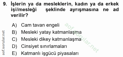 9. soru: İşlerin ya da mesleklerin, kadın ya da erkek işi/mesleği şeklinde ayrışmasına ne ad verilir? A) Cam tavan engeli B) M…