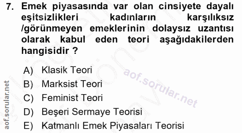 7. soru: Emek piyasasında var olan cinsiyete dayalı eşitsizlikleri kadınların karşılıksız /görünmeyen emeklerinin dolaysız uza…