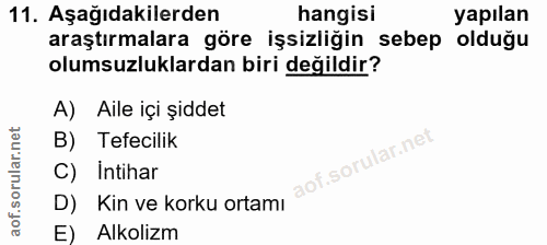 11. soru: Aşağıdakilerden hangisi yapılan araştırmalara göre işsizliğin sebep olduğu olumsuzluklardan biri değildir? A) Aile iç…