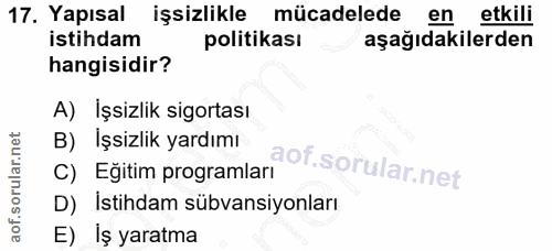 17. soru: Yapısal işsizlikle mücadelede en etkili istihdam politikası aşağıdakilerden hangisidir? A) İşsizlik sigortası B) Işsi…