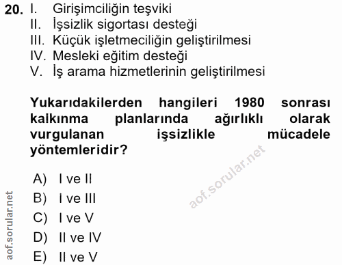 20. soru: 1. Girişimciliğin teşviki II. İşsizlik sigortası desteği IlI. Küçük işletmeciliğin geliştirilmesi IV. Mesleki eğitim…