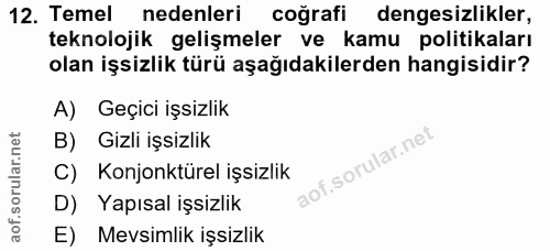 12. soru: Temel nedenleri coğrafi dengesizlikler, teknolojik gelişmeler ve kamu politikaları olan işsizlik türü aşağıdakilerden…