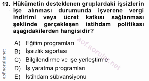 19. soru: Hükümetin desteklenen gruplardaki işsizlerin işe alınması durumunda işverene vergi indirimi veya ücret katkısı sağlan…