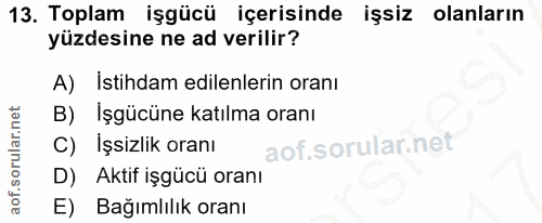 13. soru: Toplam işgücü içerisinde işsiz olanların yüzdesine ne ad verilir? A) İstihdam edilenlerin oranı B) İşgücüne katılma o…