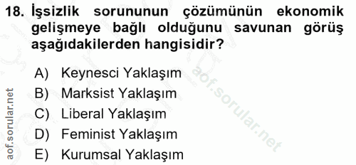 18. soru: İşsizlik sorununun çözümünün ekonomik gelişmeye bağlı olduğunu savunan görüş aşağıdakilerden hangisidir? A) Keynesci…