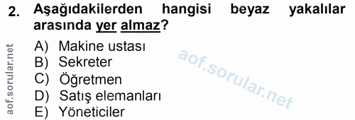 2. soru: Aşağıdakilerden hangisi beyaz yakalılar arasında yer almaz? A) Makine ustası B) Sekreter C) Öğretmen D) Satış elemanl…