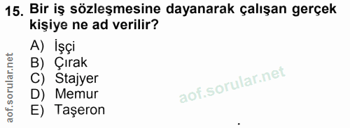 15. soru: Bir iş sözleşmesine dayanarak çalışan gerçek kişiye ne ad verilir? A) İşçi B) Çırak C) Stajyer D) Memur E) Taşeron