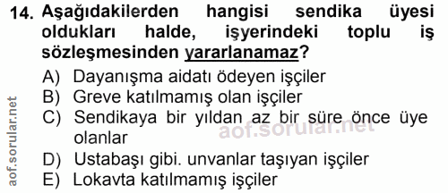 14. soru: Aşağıdakilerden hangisi sendika üyesi oldukları halde, işyerindeki toplu sözleşmesinden yararlanamaz? A) Dayanışma ai…