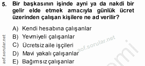 5. soru: Bir başkasının işinde ayni ya da nakdi bir gelir elde etmek amacıyla günlük ücret üzerinden çalışan kişilere ne ad ve…