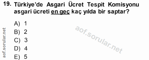 19. soru: Türkiye'de Asgari Ücret Tespit Komisyonu asgari ücreti en geç kaç yılda bir saptar? A) 1 B) 2 C) 3 D) 4 E) 5