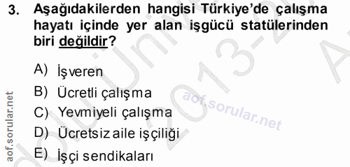 3. soru: Aşağıdakilerden hangisi Türkiye'de çalışma hayatı içinde yer alan işgücü statülerinden biri değildir? A) İşveren B) U…