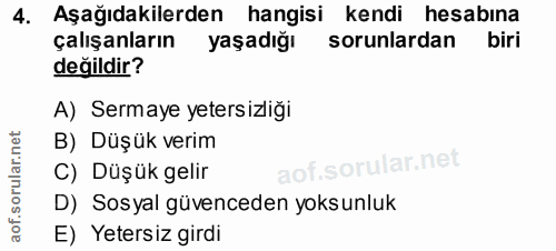 4. soru: Aşağıdakilerden hangisi kendi hesabına çalışanların yaşadığı sorunlardan biri değildir? A) Sermaye yetersizliği B) Dü…