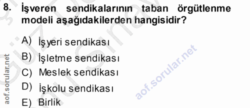8. soru: İşveren sendikalarının taban örgütlenme modeli aşağıdakilerden hangisidir? A) İşyeri sendikası B) İşletme sendikası C…