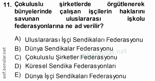 11. soru: Çokuluslu şirketlerde örgütlenerek bünyelerinde çalışan işçilerin haklarını savunan uluslararası işkolu federasyonlar…