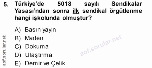 5. soru: Türkiye'de 5018 sayılı Sendikalar Yasası'ndan sonra ilk sendikal örgütlenme hangi işkolunda olmuştur? A) Basın yayın…