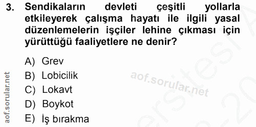 3. soru: Sendikaların devleti çeşitli yollarla etkileyerek çalışma hayatı ile ilgili yasal düzenlemelerin işçiler lehine çıkma…