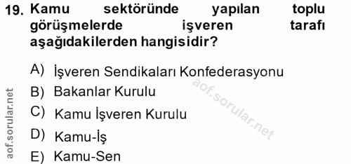 19. soru: Kamu sektöründe yapılan toplu görüşmelerde işveren tarafi aşağıdakilerden hangisidir? A) İşveren Sendikaları Konfeder…