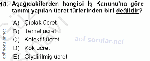 18. soru: Aşağıdakilerden hangisi İş Kanunu'na göre tanımı yapılan ücret türlerinden biri değildir? A) Çıplak ücret B) Temel üc…